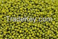 Green mung beans, crop 2015