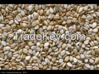 Hulled White Sesame Seeds For Sale