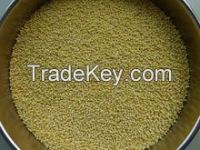 Bulk Glutinous Yellow Millet