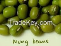 Green Mung Bean (Prime quality dried)