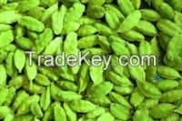 High Quality Fresh Green Cardamom