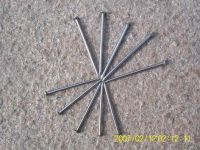 sell common wire nails/common round nails