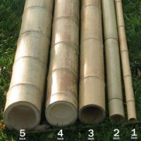 Sell Bamboo Pole