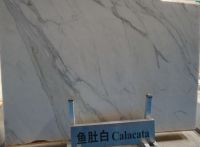 Calacatta white marble