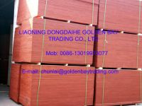 Various plywood/furniture plywood/packing plywood/construction plywood