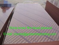China best quality shuttering film faced plywood