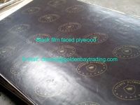 Film faced plywood from Chinese plywood manufacturer