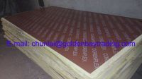 Shuttering Plywood/film faced plywood from China