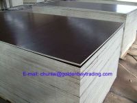 China E0, E1, E2, MR, WBP Melamine plywood/film faced plywood