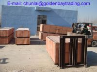 Offer/sell/export Plywood/Film faced plywood in China