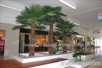 hall/park/waiting room decoration artificial palm tree