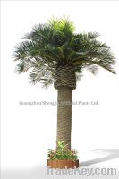 indoor&outdoor project decoration fiberglass artificial date  palm tree