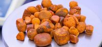 Cow Gallstone and OX Gallstones