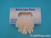 Sell HY-latex examination glove