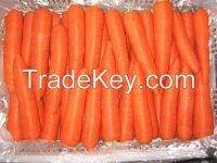 2014 good quality fresh carrot regular shape, fresh, clean