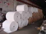 PP Synthetic Paper PH Product