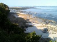 Beach plots in Kenya