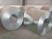 galvanized steel coil-sheilametaltrade-gmail-com