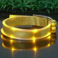 wholesale china pet collars with flashing led light