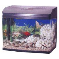 Sell aquarium tank