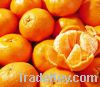 Citrus, sales kinds of oranges, , fruits, shatian pomelo, navel orange