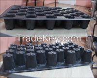 Seedling Tray