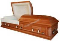 American-style Casket for the Funeral