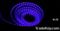 Wholesale DC12V/24V SMD5050 LED strip light christmas decoration