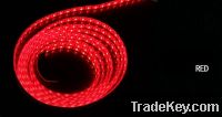 cheap led strip light flexible smd 5050 multi color led light strip