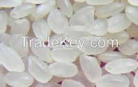 JAPONICA RICE
