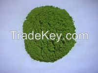 spinach powder, dehydrated spinach powder, dried spinach powder