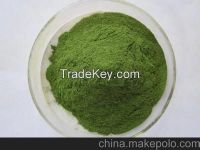 seaweed powder, dehydrated seaweed powder, dried seaweed powder