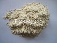 horseradish powder, dehydrated horseradish powder, dried horseradish powder