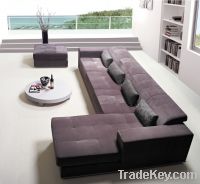 The lateast style and professional sofa