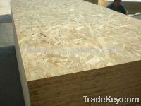 osb board price