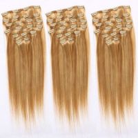 Queen Hair Product 100% Virgin Brazilian Human Clip-in Hair Extension Can Be Customized