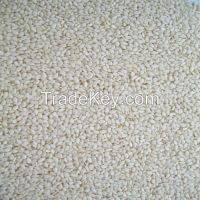 Sesame Seed