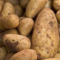 Potatoes For Sale