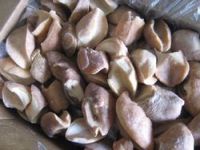 Top Frozen Cooked Whelk Meat