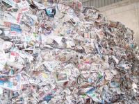 Waste newsprint paper