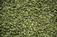 Arabica Green Bean