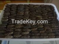 Sell Dried/Fresh Sea Cucumber