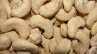 DRIED FRUIT Raw Cashew Nut Salted 2016