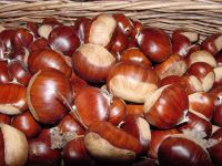 roasted shelled chest nut