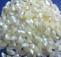 IQF frozen sweet yellow and white corn