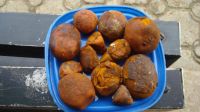 80.20 Cow, Ox, Cattle Gallstones for Sale