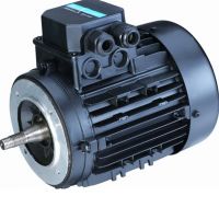 YS SERIES THREE PHASE ASYNCHRONOUS ELECTRIC MOTOR