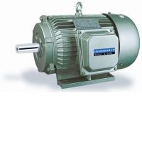 Y SERIES THREE-PHASE INDUCTION MOTOR