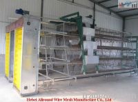 Automatic cages of quail