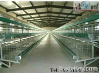 Hot Galvanized A Type Pullets Poultry Cage Design From Chinese Manufac